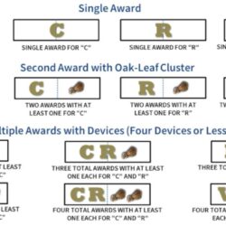 Olc meaning